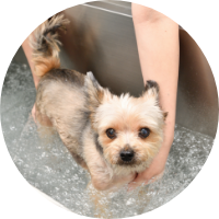 充実したリハビリの提供