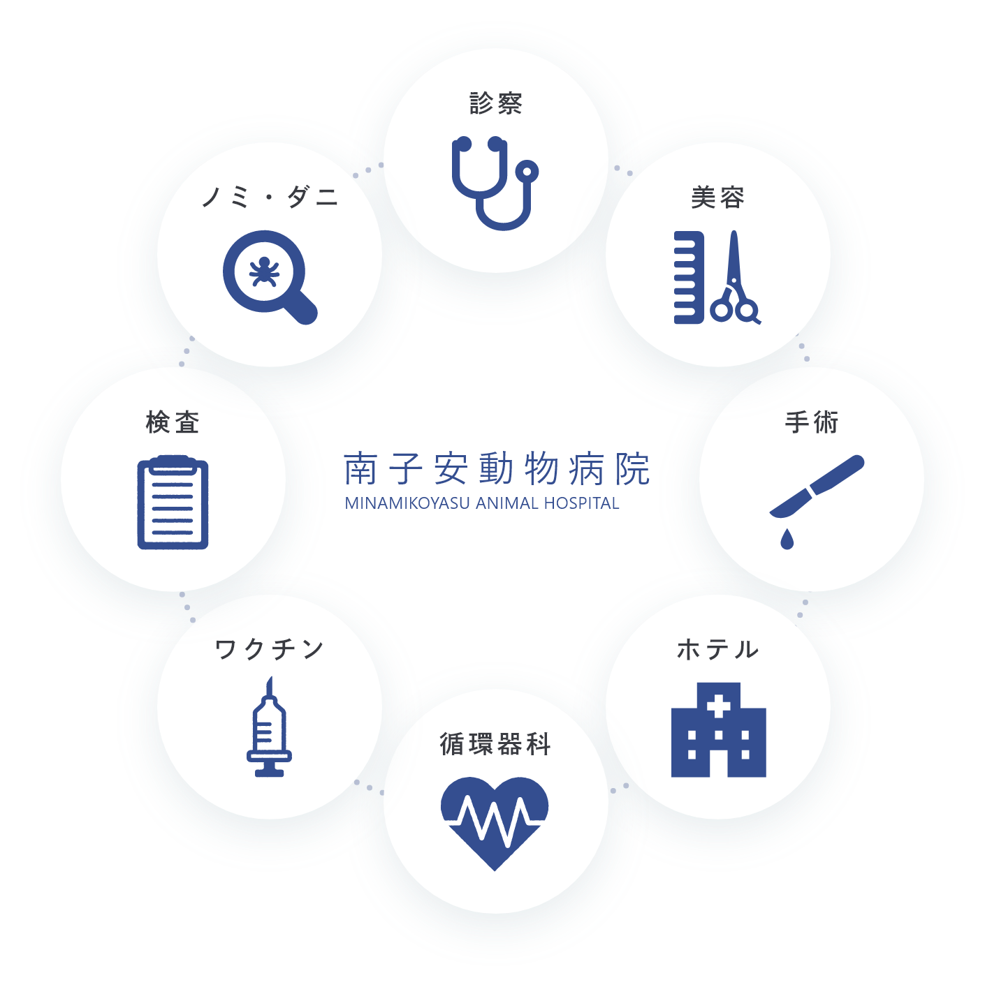 南子安動物病院