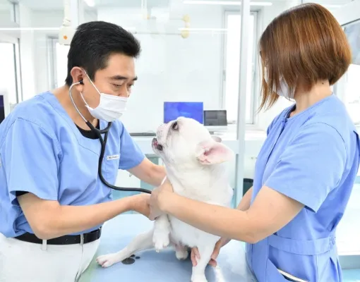 通常診療・予防接種